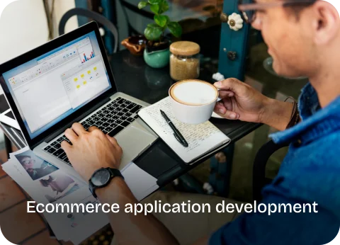 Ecommerce application development