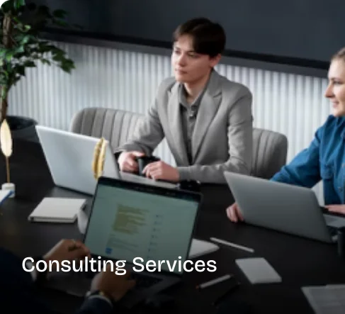 Consulting Services