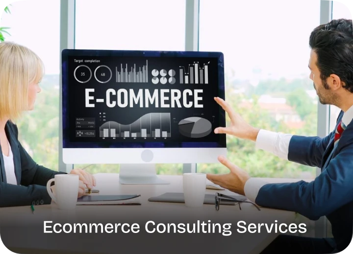 Ecommerce Consulting Services