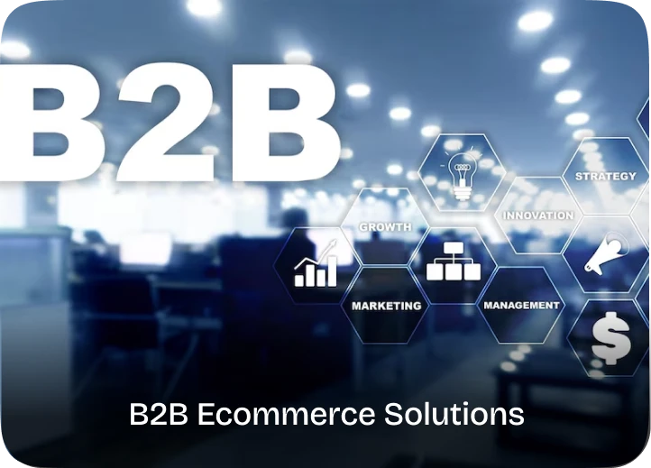 B2B Ecommerce Solutions